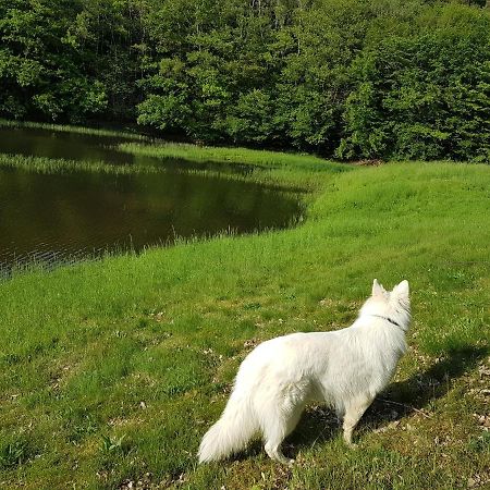 Gite Le Domaine D Orphee Marmagne  Dış mekan fotoğraf