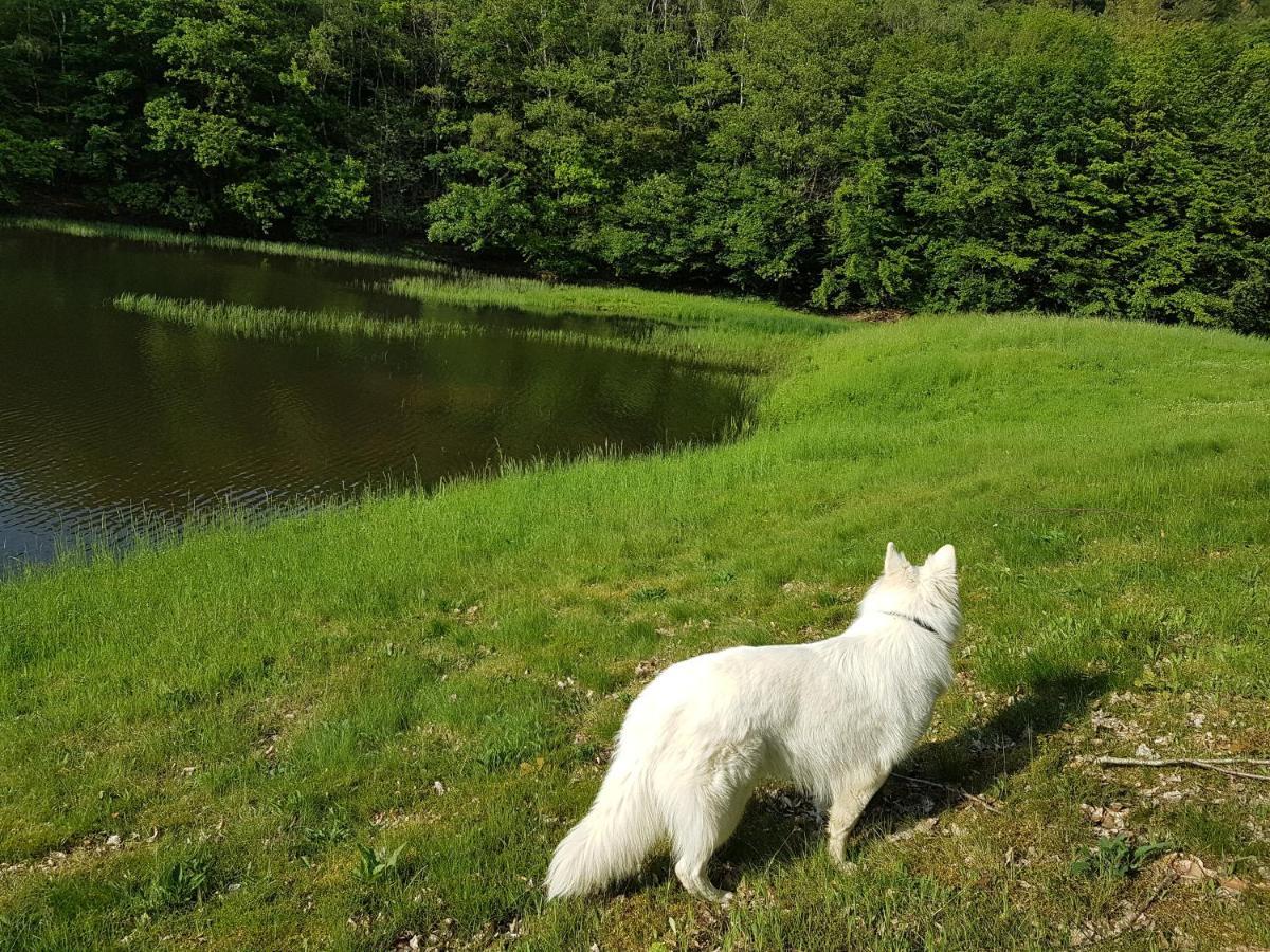 Gite Le Domaine D Orphee Marmagne  Dış mekan fotoğraf