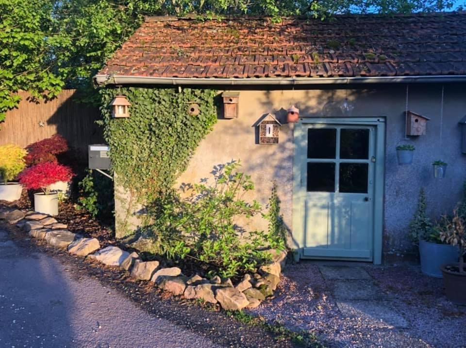 Gite Le Domaine D Orphee Marmagne  Dış mekan fotoğraf